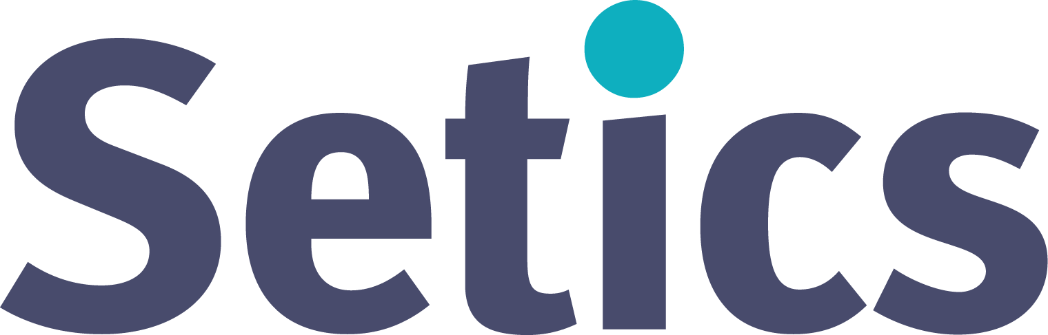 logo Setics
